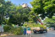 Chủ động cắt tỉa cây xanh, đảm bảo an toàn mùa mưa bão